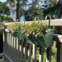 Garden Selections