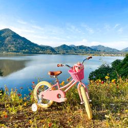 GLERC BIKES
