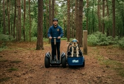 Go Ape