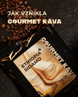 GourmetKava