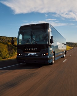 Greyhound