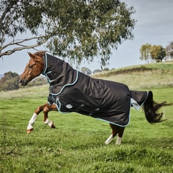 GS Equestrian