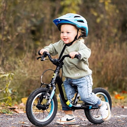 Guardian Bikes
