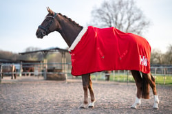 HanseHorse