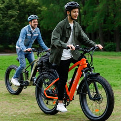 HAOQI Ebike