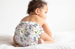 HappyBear Diapers