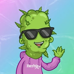 Herbies Seeds