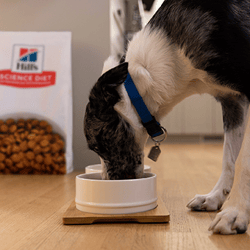 Hill's Pet Nutrition