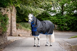 HorseLoverZ
