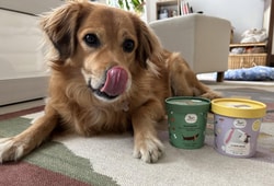 Hygge Pet Food