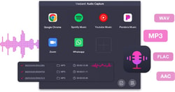 ViWizard