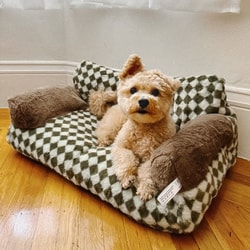 Funny Fuzzy