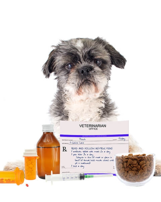 Pet Pharm Canada