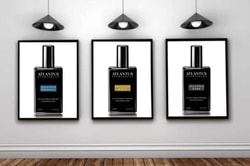 Atlantus Fragrances