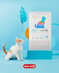 Pretty Litter