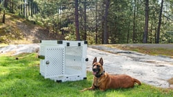 Impact Dog Crates