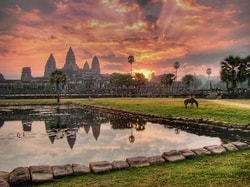 Insurefor Travel Insurance