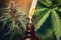 Intrinsic Hemp