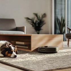 iRobot