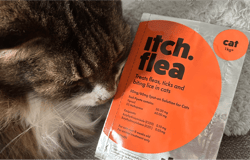 Itch Pet
