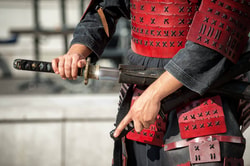 Japan-Budo