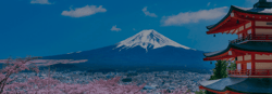 Japan Wireless