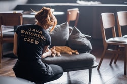Java Whiskers