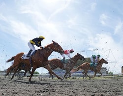 Jockey Club
