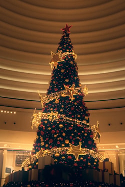 Kerstbomenwinkel