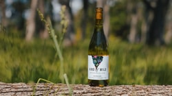 Kind of Wild Wines