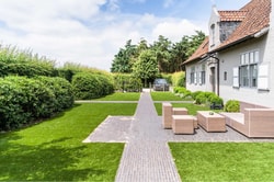 LazyLawn