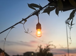LED Bulbs