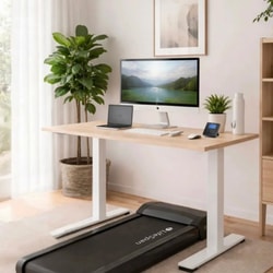 LifeSpan Fitness