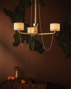 Lightology