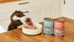 Lily's Kitchen