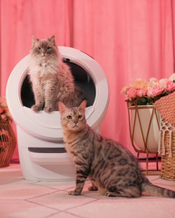 Litter-Robot