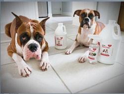 Live Odor Free!