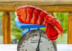 Lobster Anywhere