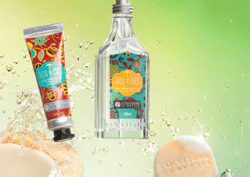 L'Occitane au Br&eacute;sil