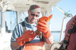 Luke's Lobster