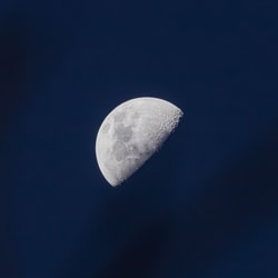 Lunar Embassy