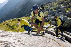 Mammut