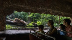 Mandai Wildlife Reserve