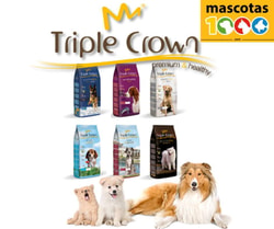 Mascotas1000