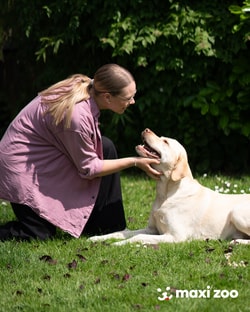 MAXI ZOO