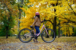 Mendham Bicycle