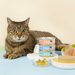 MeowZone