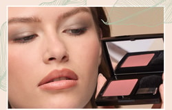 Merle Norman Cosmetics