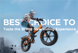 Metriders