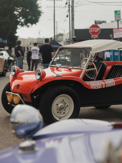 Meyers Manx